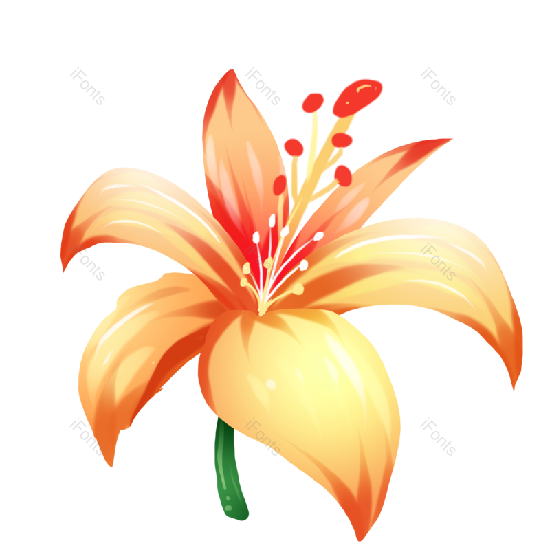 花朵图片,小花元素,植物PNG,女神节免抠素材